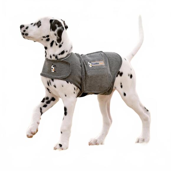 ThunderShirt for Dogs 15-25lbs - Picture 2 of 3